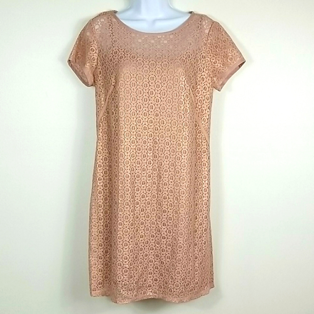 Rose Gold Shimmer Pink Lace LOFT Dress Size 4